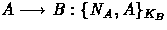 $A \longrightarrow B: \{N_A,A\}_{K_B}$