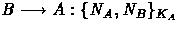 $B \longrightarrow A: \{N_A,N_B\}_{K_A}$