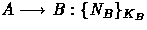 $A \longrightarrow B: \{N_B\}_{K_B}$