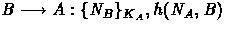 $B \longrightarrow A: \{N_B\}_{K_A}, h(N_A,B)$