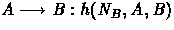 $A \longrightarrow B: h(N_B,A,B)$