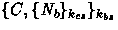 $\{C,\{N_b\}_{k_{cs}}\}_{k_{bs}}$