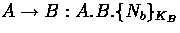 $A \rightarrow B : A.B.\{ N_{b} \}_{K_{B}}$